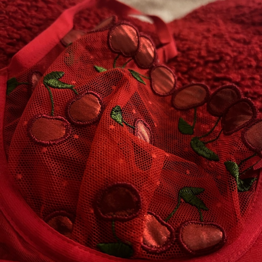 For Love And Lemons Red Cherry Embroidered Bra - Picture 2 of 6